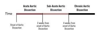 Acute Aortic Dissections