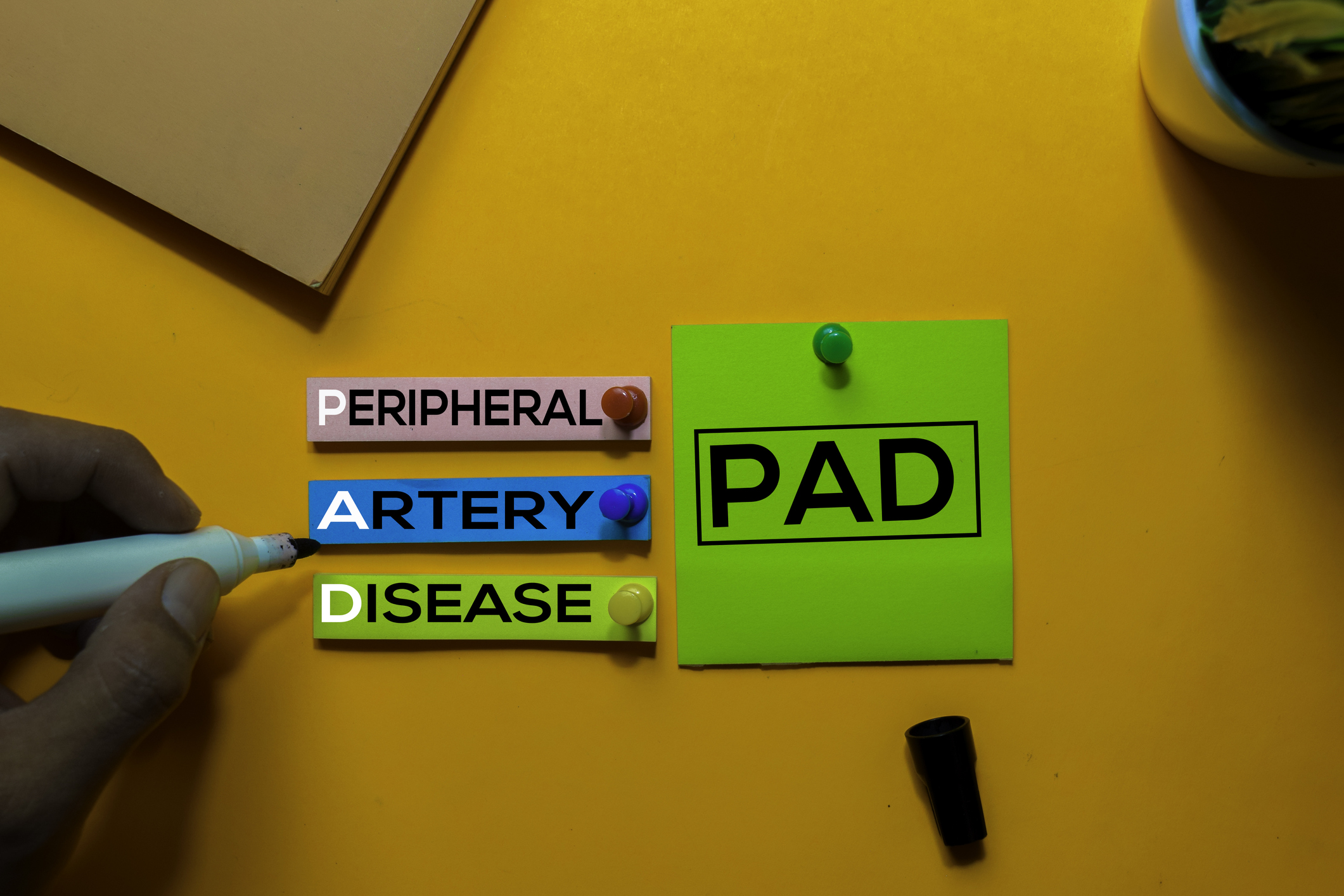 What are the Different Options for Treating PAD?